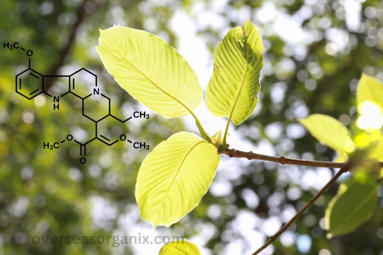 Understanding Mitragynine – Kratom’s Key Alkaloid