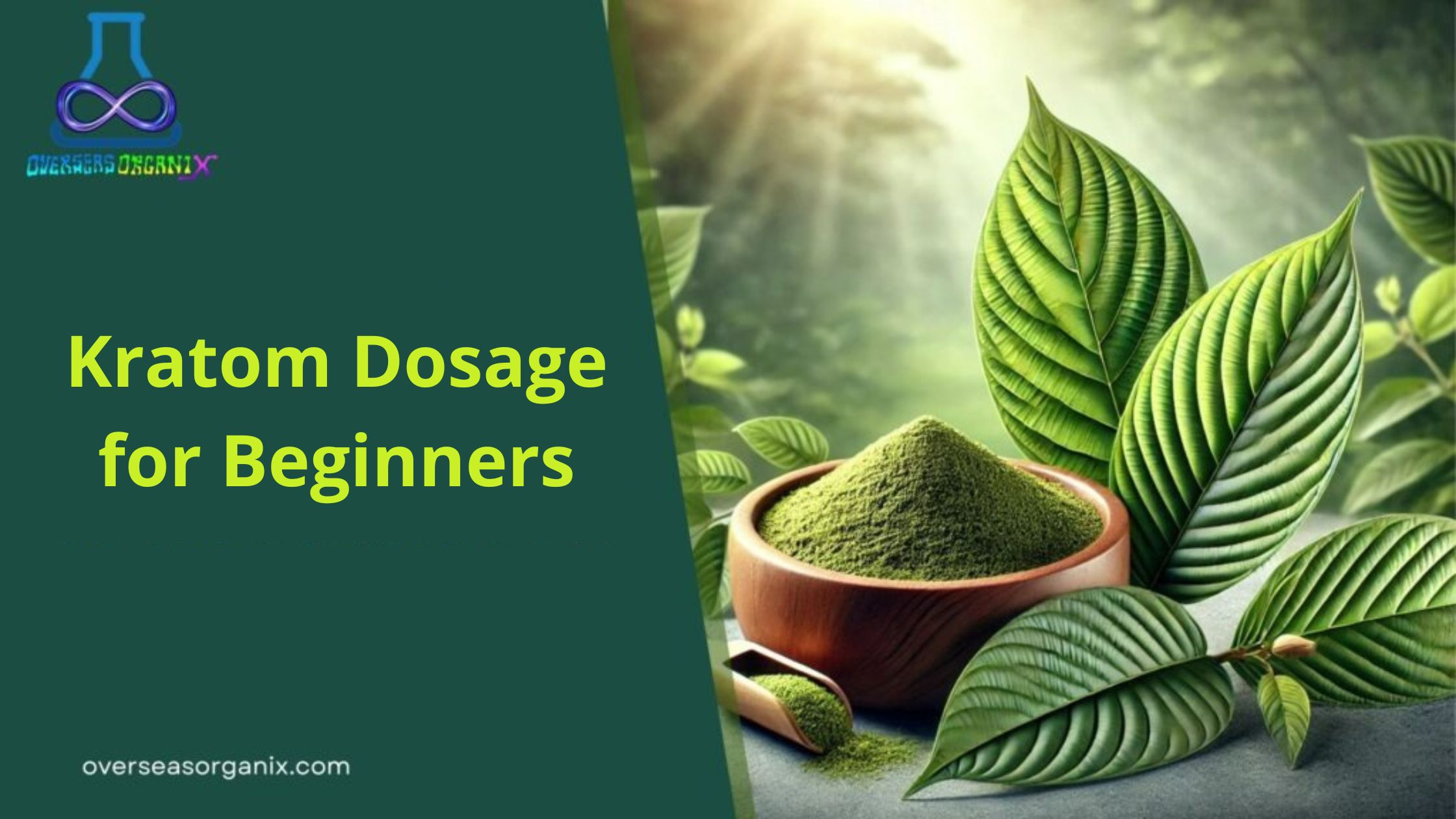 Kratom Dosage for Beginners