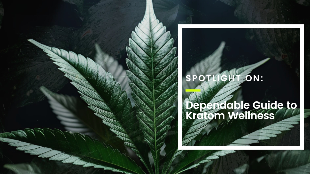 Dependable Guide to Kratom Wellness