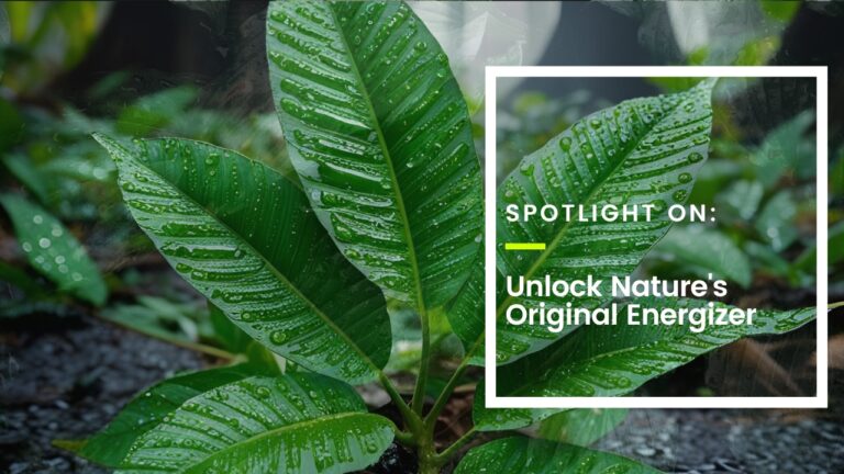 Unlock Nature’s Original Energizer