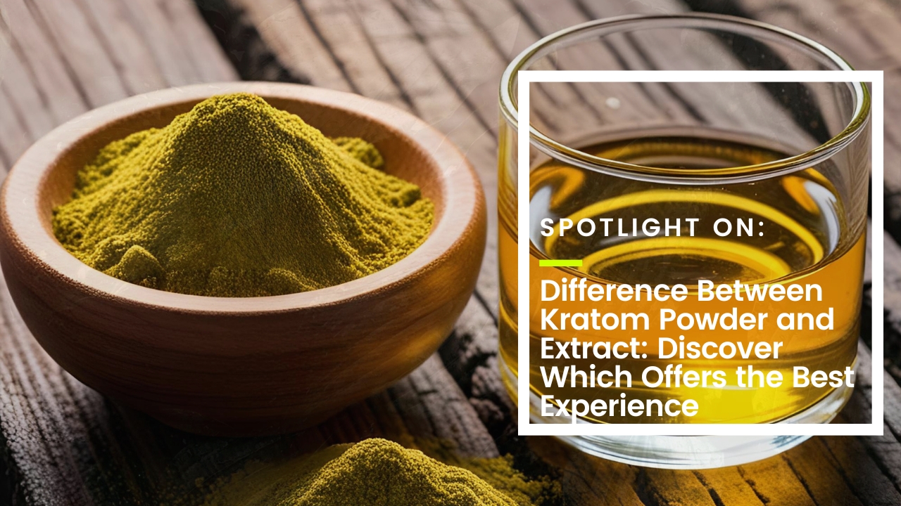 Difference Between Kratom Powder and Extract: Discover Which Offers the Best Experience Thumbnail