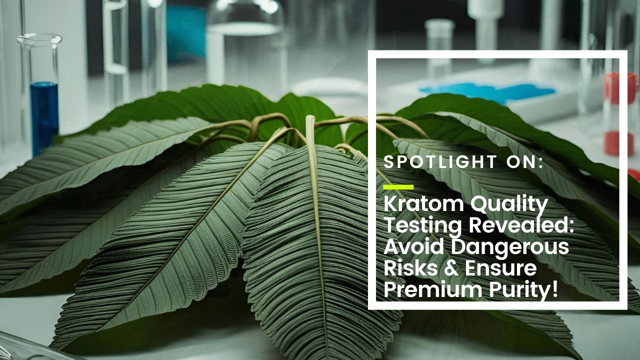 Kratom Quality Testing Thumbnail