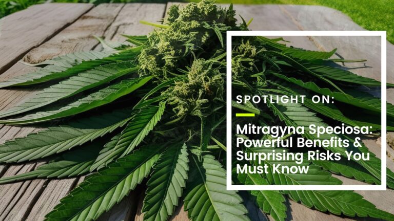 Mitragyna Speciosa: Powerful Benefits & Surprising Risks You Must Know