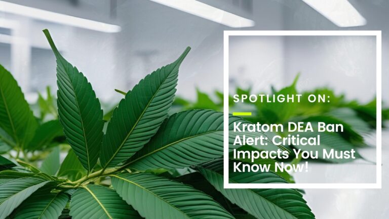 Kratom DEA Ban Alert: Critical Impacts You Must Know Now!