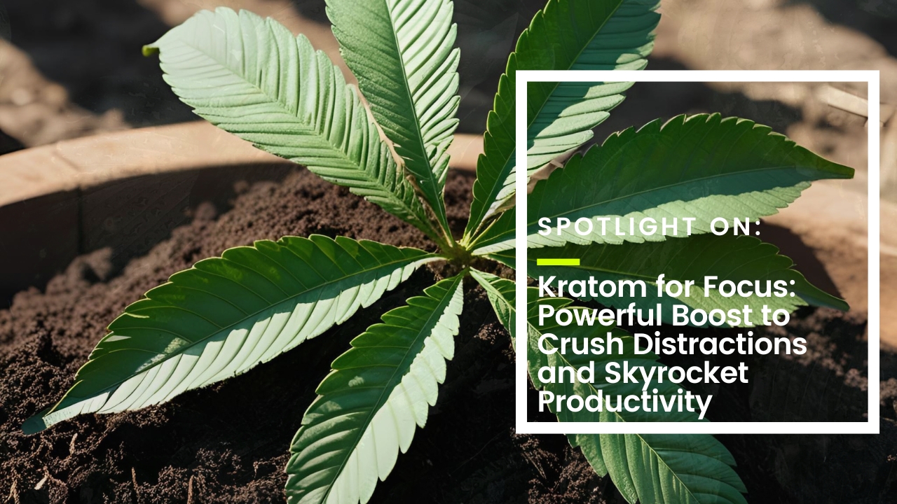 Kratom for Focus Thumbnail