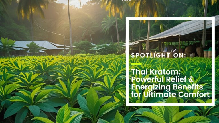 Thai Kratom: Powerful Relief & Energizing Benefits for Ultimate Comfort